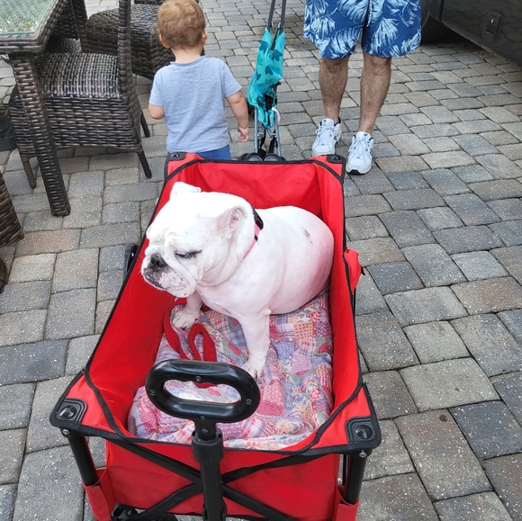 Meet your Posher...... - Picture 4 of 5